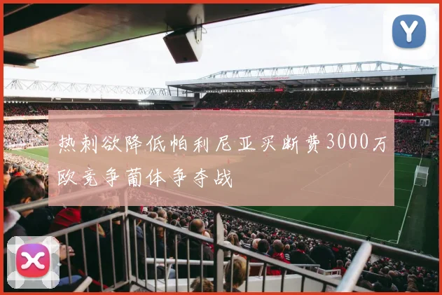 热刺欲降低帕利尼亚买断费3000万欧竞争葡体争夺战