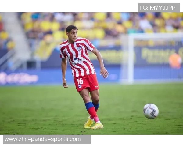 尤文图斯冬季计划引进莫利纳以增强右后卫实力 尤文图斯冬季计划引进莫利纳以增强右后卫实力